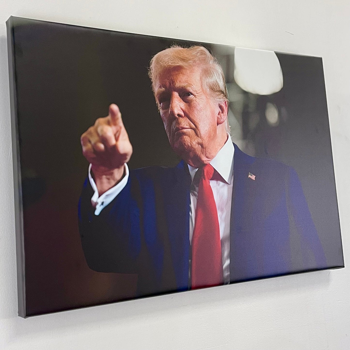 President Donald Trump Canvas Print