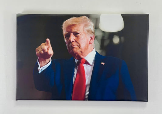 President Donald Trump Canvas Print