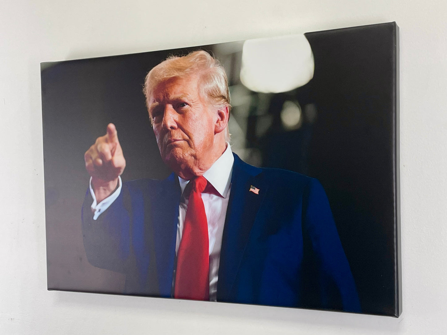 President Donald Trump Canvas Print